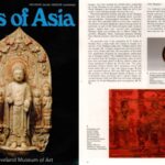 Doctor_regzen_art_od_asia