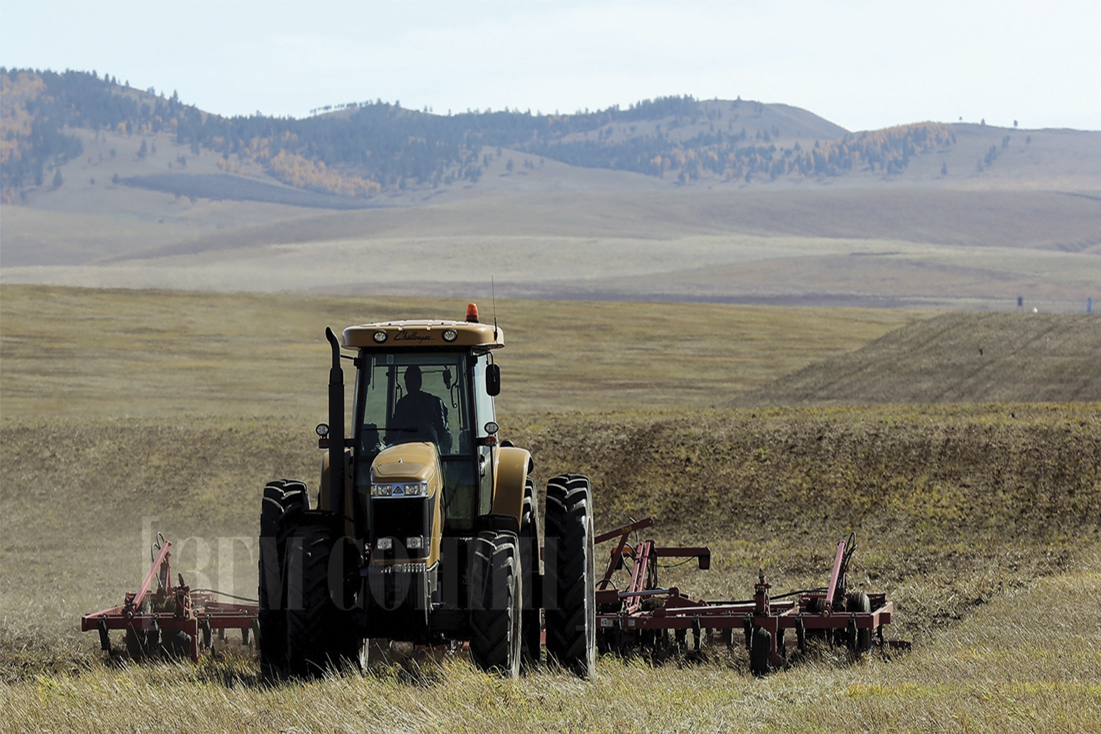 dornod-aimag-tarialalt