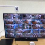 elseltiin-eronhii-shalgalt