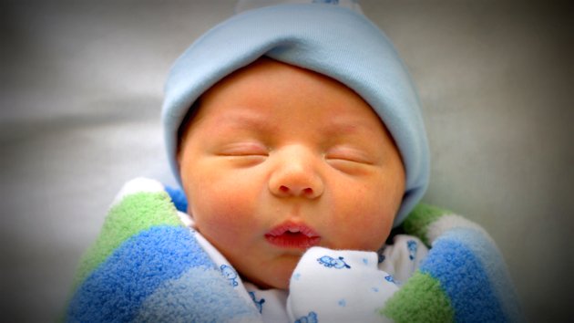 nyrain_chiiregjuulelt