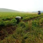 bulgan-aimag-tarialan