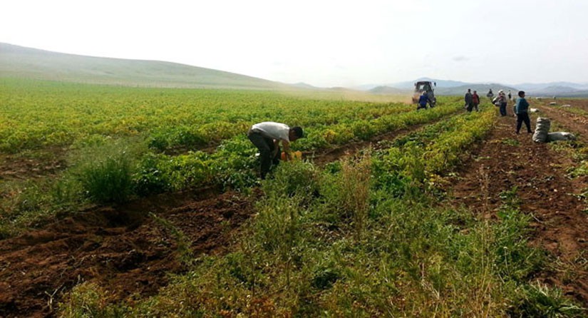 bulgan-aimag-tarialan