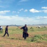 erdenet-hot-owoljilt-beltgel