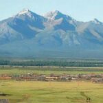 howsgold-huuhed-alga-bolloo