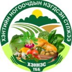 onii-shildeg-nogoochin-huuhed