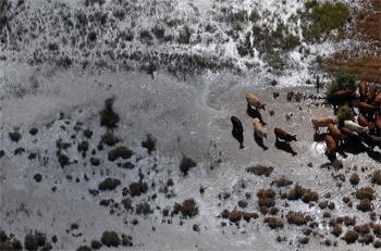 oworhangai-uruin-uyer