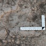 turkey-ertnii-hunii-holiin-mor