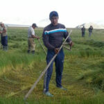 uuliin-hadlan-bayn-olgii-aiamg