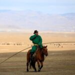 zaluu-malchin-hotolbor