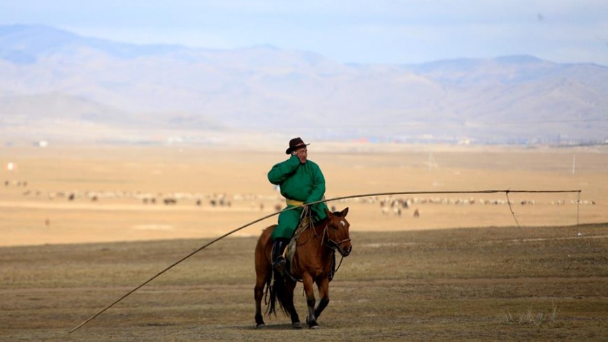 zaluu-malchin-hotolbor