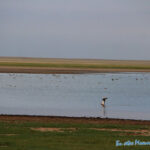 huh nuur-dornod aimag