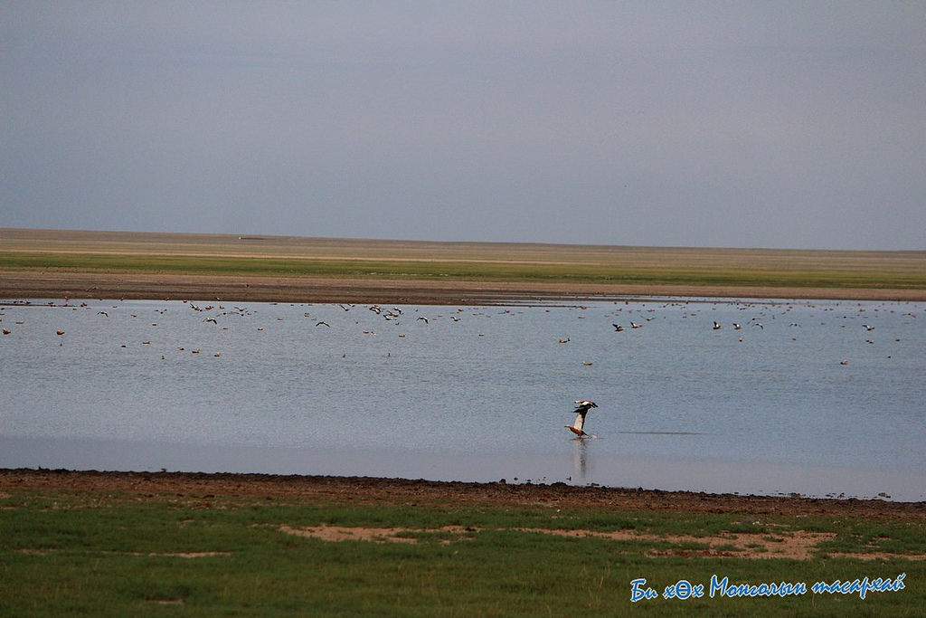 huh nuur-dornod aimag