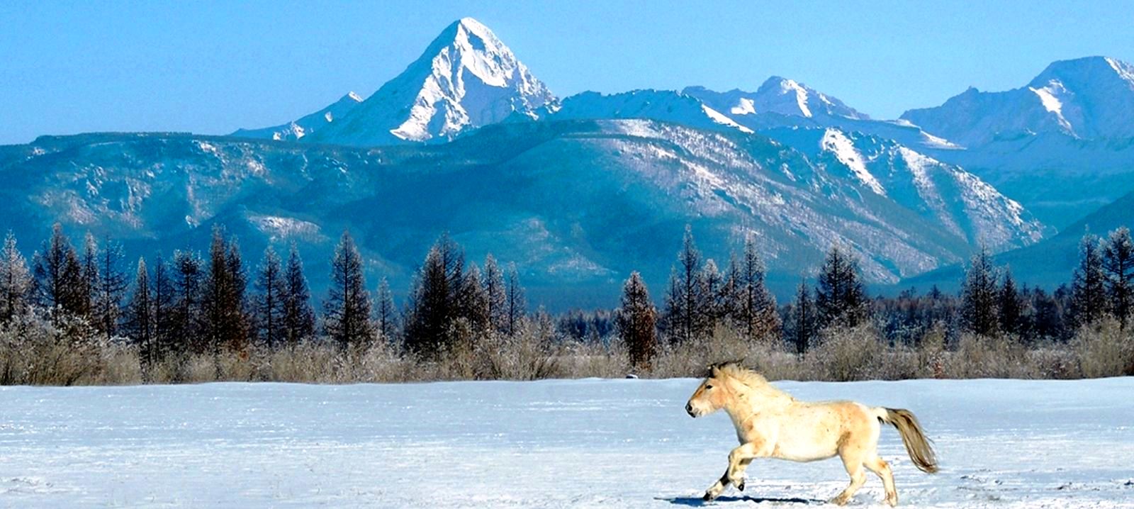 mongolia-winter