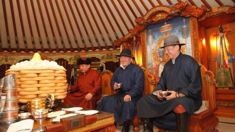 nohoi jiliin zolgolt