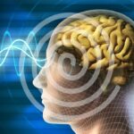 program-people's ability