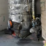 shaardlaga-hangaagui-zuuh