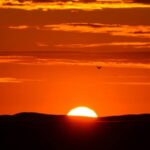 tsagaan sar anhnii nar