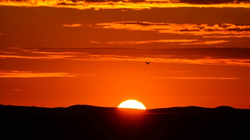 tsagaan sar anhnii nar