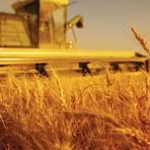 ulaanbuudain-uramshuulal