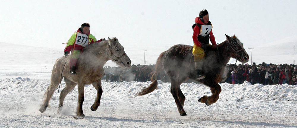uwliin morin uraldaan