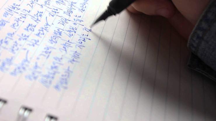 tusgai shalgalt-korea