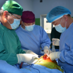 uy-solih-mes-zasal-Howd