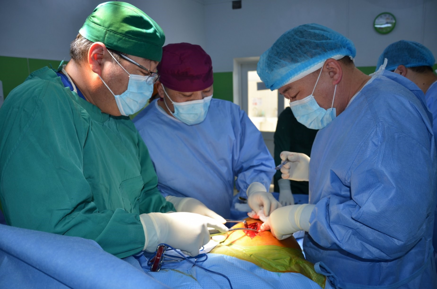 uy-solih-mes-zasal-Howd