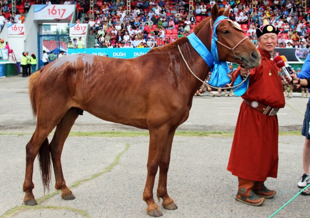 Onon_D_tod_manlai_uyach_hartsaga_