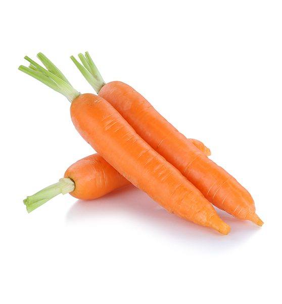 carrot