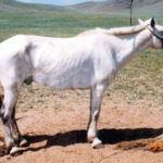 ce0a28667e09e6758c1f062c145dce59