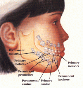 children-teeth-