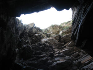 dayn deerhi-aguin am