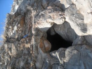 dayn deerhi-gauin am