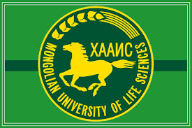 ХААИС