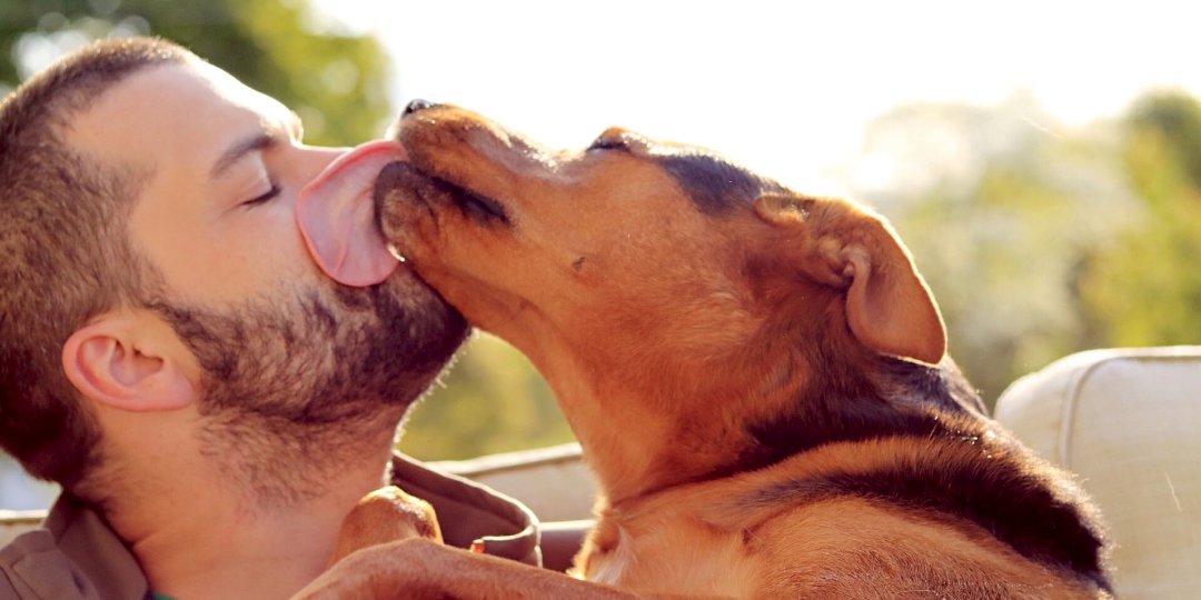 15-121802-beards_have_more_germs_than_dog_fur_says_study