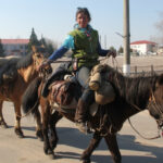 19553d959d936a235aeba3544d050401