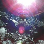 4586826-0-image-a-11_1538055390079