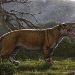 578b52_lion_like_creature_x974