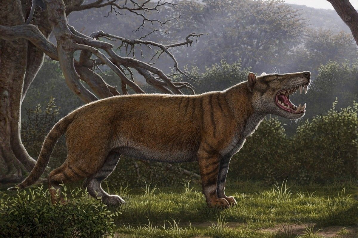 578b52_lion_like_creature_x974