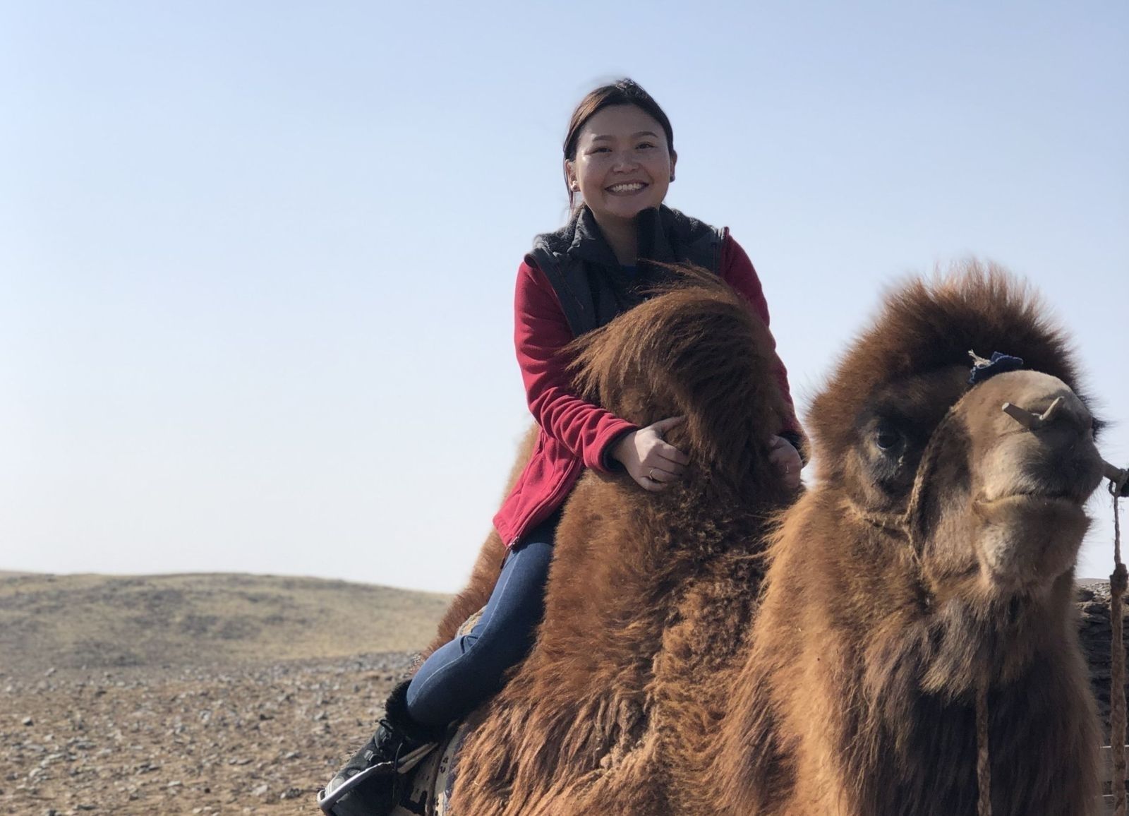 7278ff_rsz_onon-2560x1850_1__x974