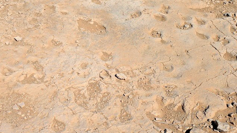 7ip846vli6rit4tgfnepik4eea