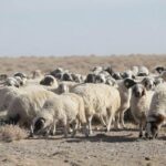 16_03_45_17_19_Still001