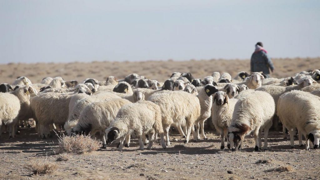 16_03_45_17_19_Still001