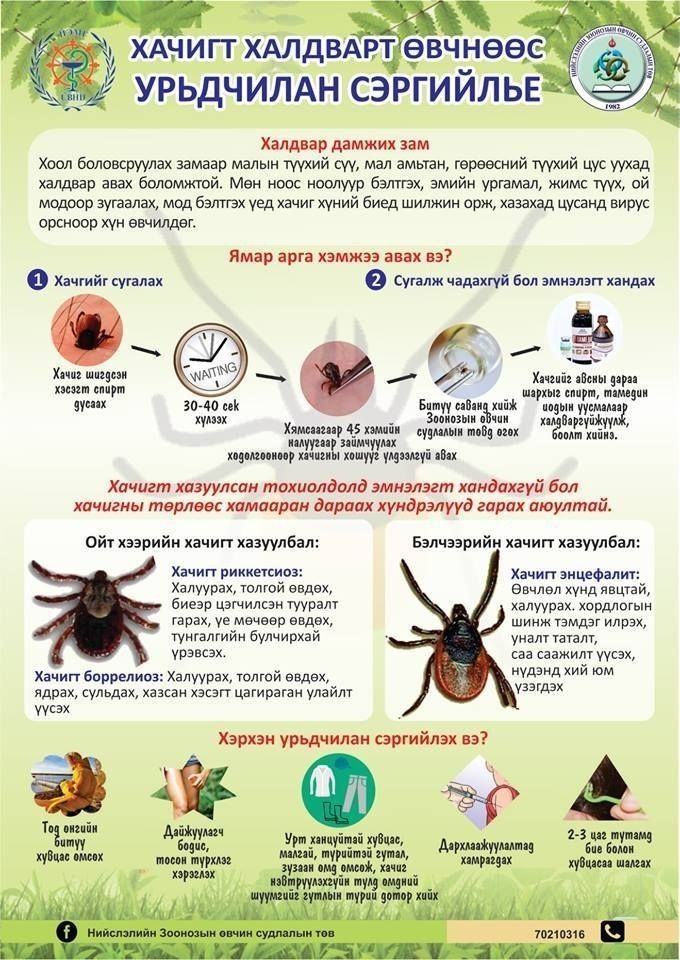 b73571_56340085_1021285291398289_392386245067538432_n_x974