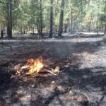 ba973e9d66bfd82dcfdfecc3459c483c