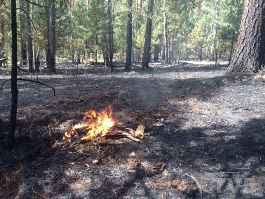 ba973e9d66bfd82dcfdfecc3459c483c