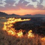 d2a31cf6-28d6-4bf4-a592-8ad3a7bac46a