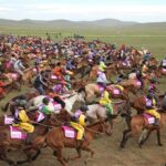 ff84397c46db940700deb6267e860419big