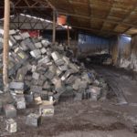 himiin-hortoi-haygdal-01