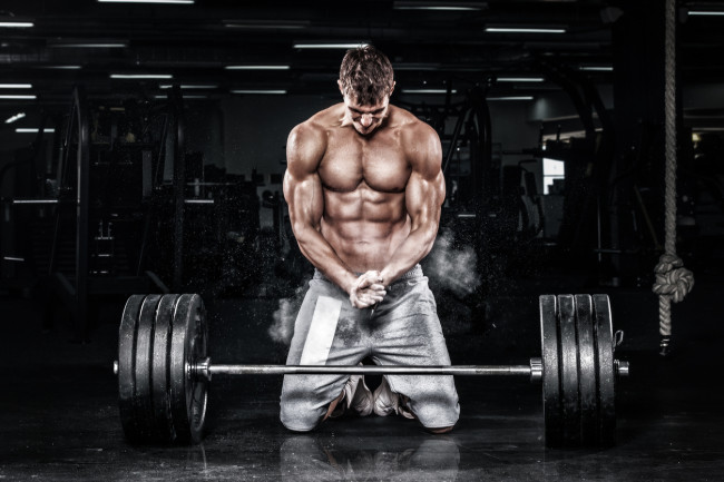 Muscular young fitness sports man workout with barbell in fitness gym